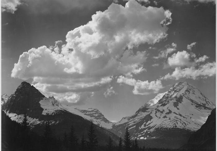 National Forest Elemental Series: The Breath of a Nation