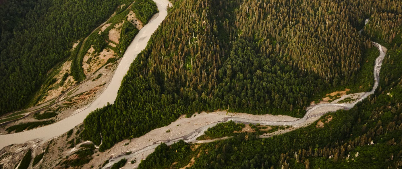 The Puyallup: one of North America’s most endangered rivers