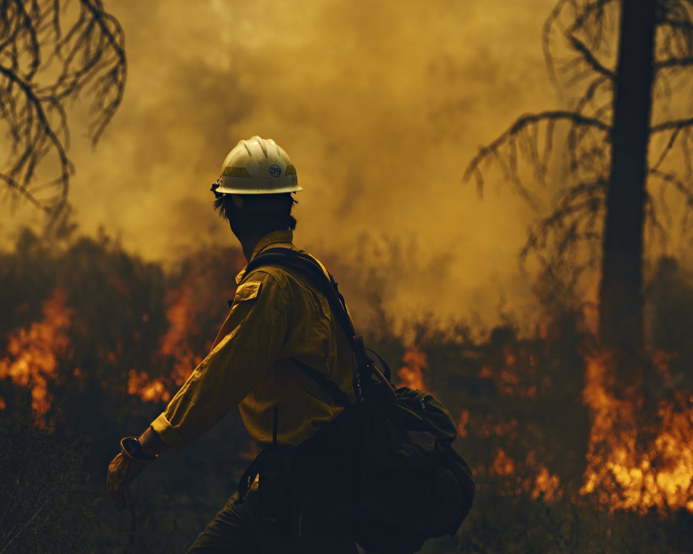 USFS: Fighting Fire With Fire