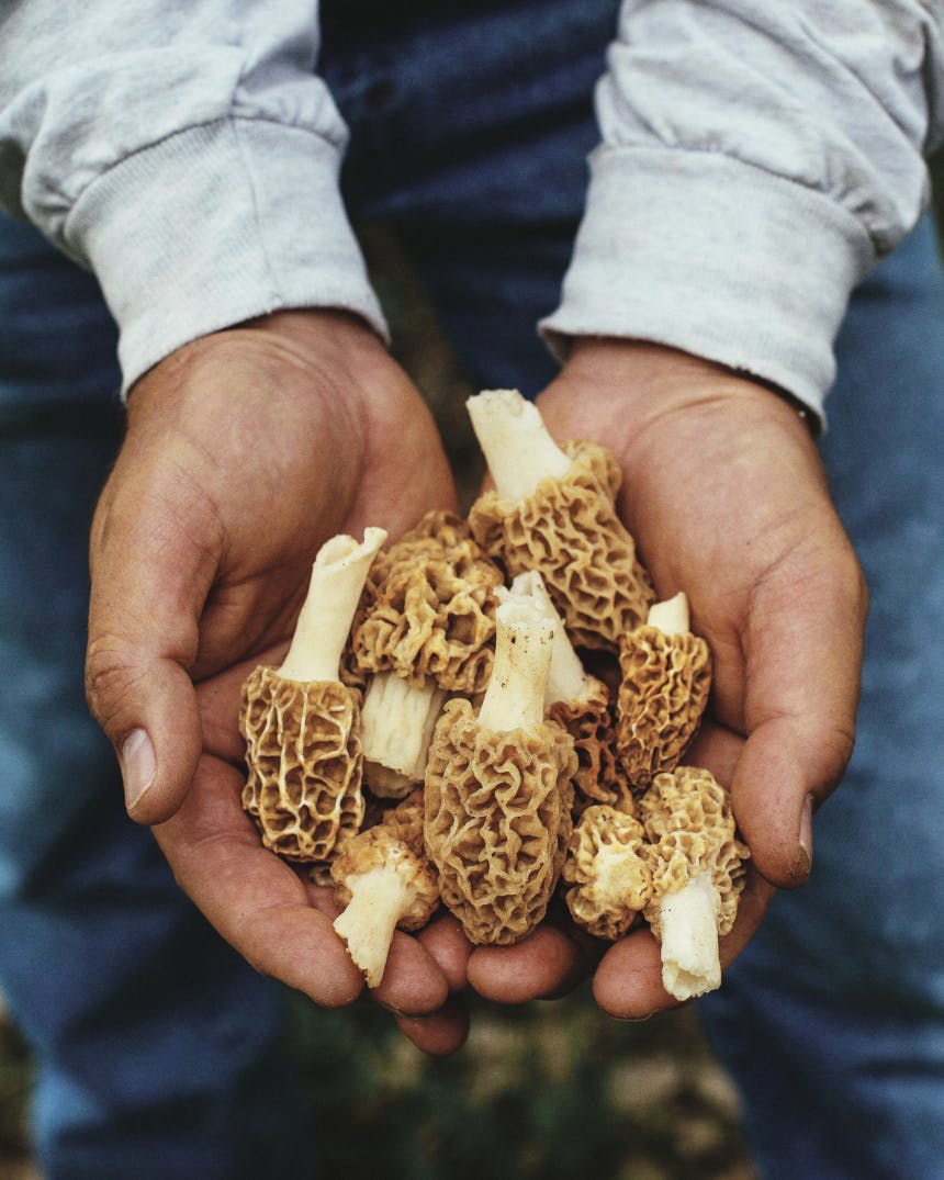 Filson Food: Dutch Baby with Morel Mushrooms