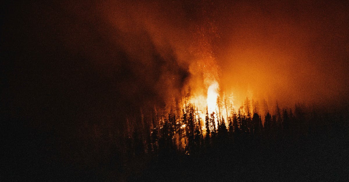 We Helped Restore a Forest Service Lookout Tower That Was Almost Consumed by Flames