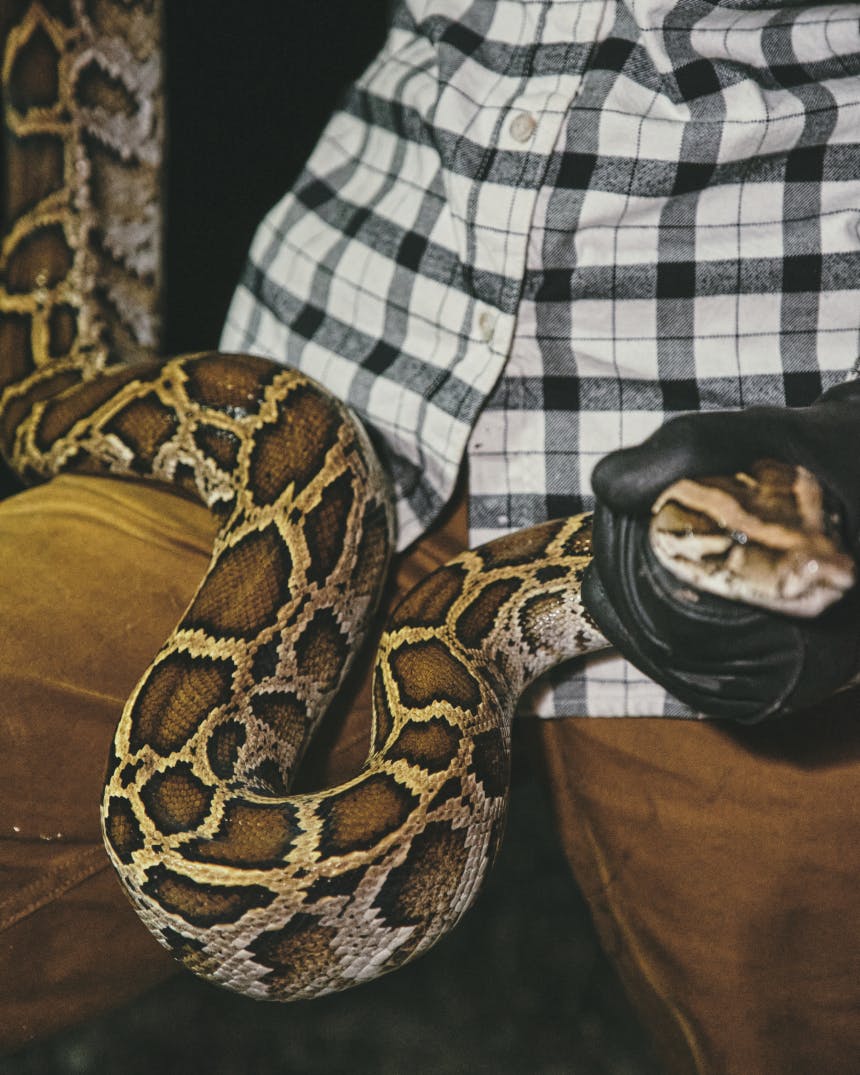 Python Bounty Hunter: Donna Kalil
