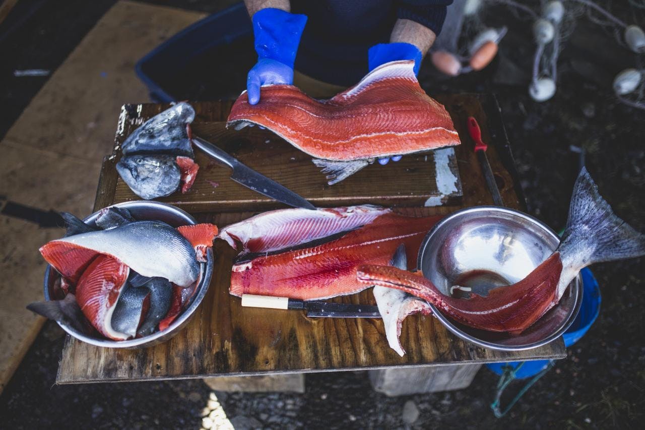 How to Fillet a Fish