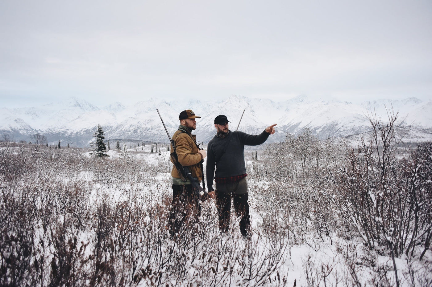 Alaska Chronicles Part 1: North of Wild