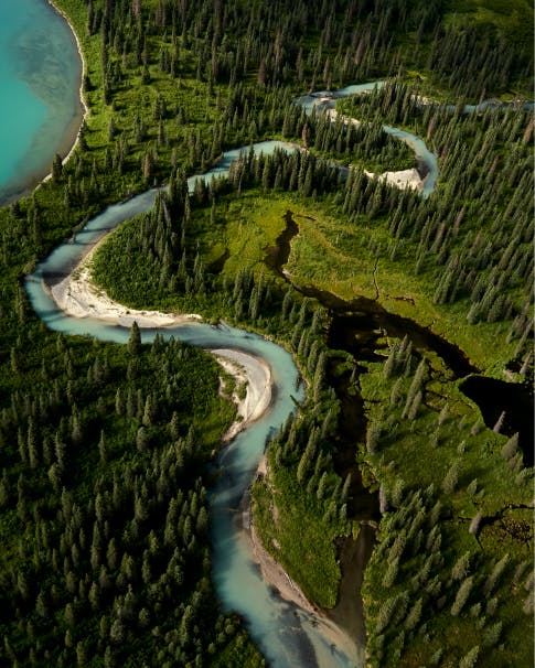 Inspiring Women of the Pacific Northwest & Alaska