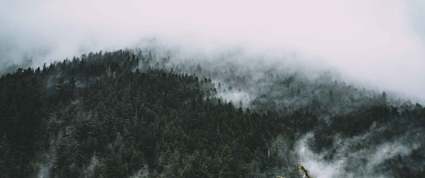 Lessons from the Darkness: Southeast Alaska's Kóoshdaa Káa