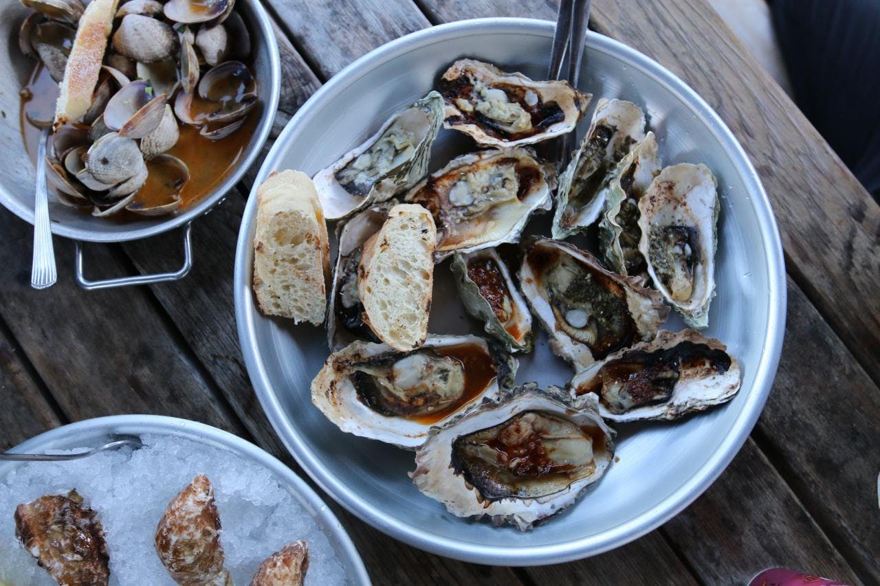 How to Open an Oyster without a Shucking Knife
