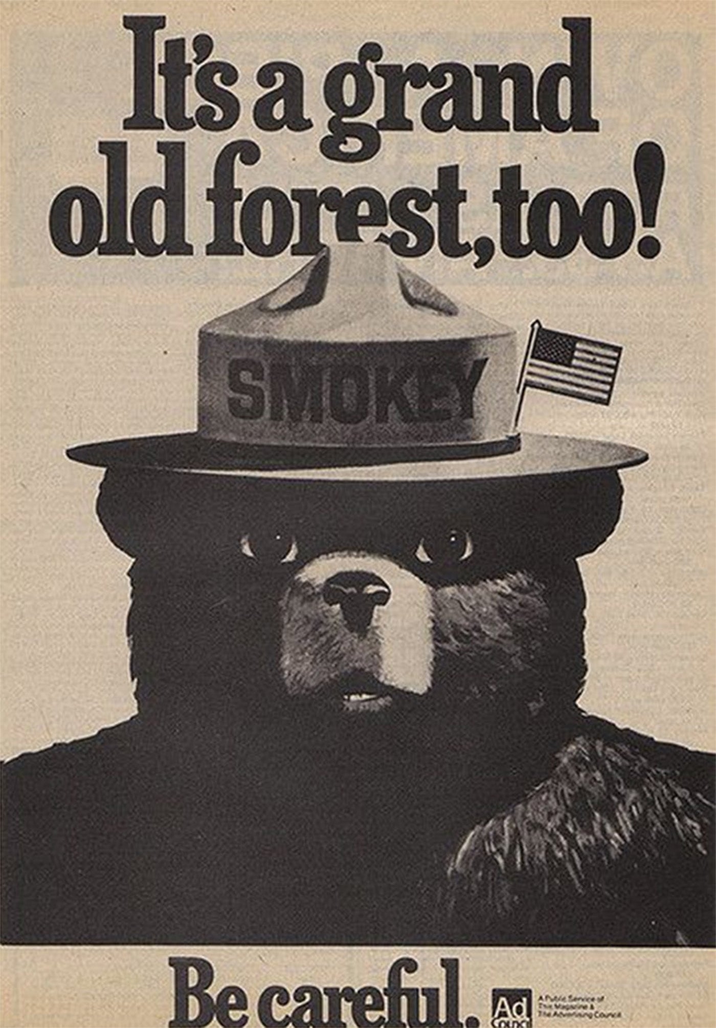 Smokey's Steps to Putting Out a Fire