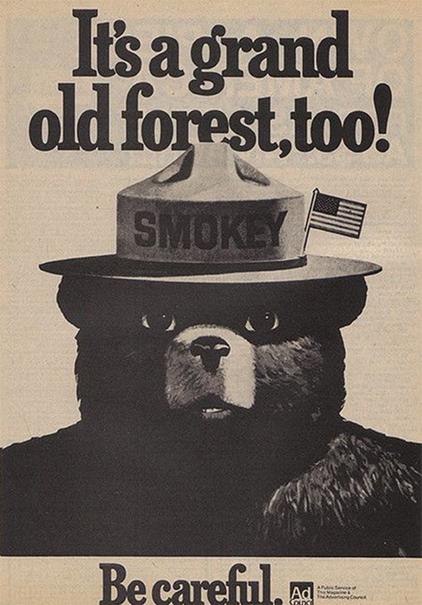 Smokey's Steps to Putting Out a Fire