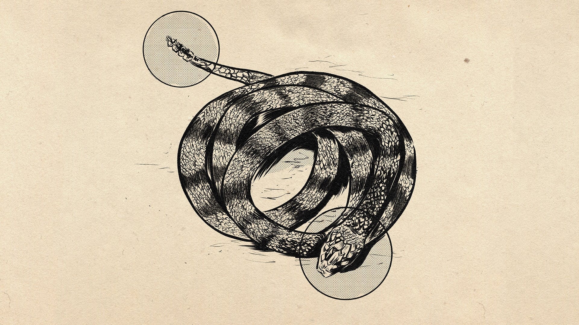 Snakebite Prevention and First Aid