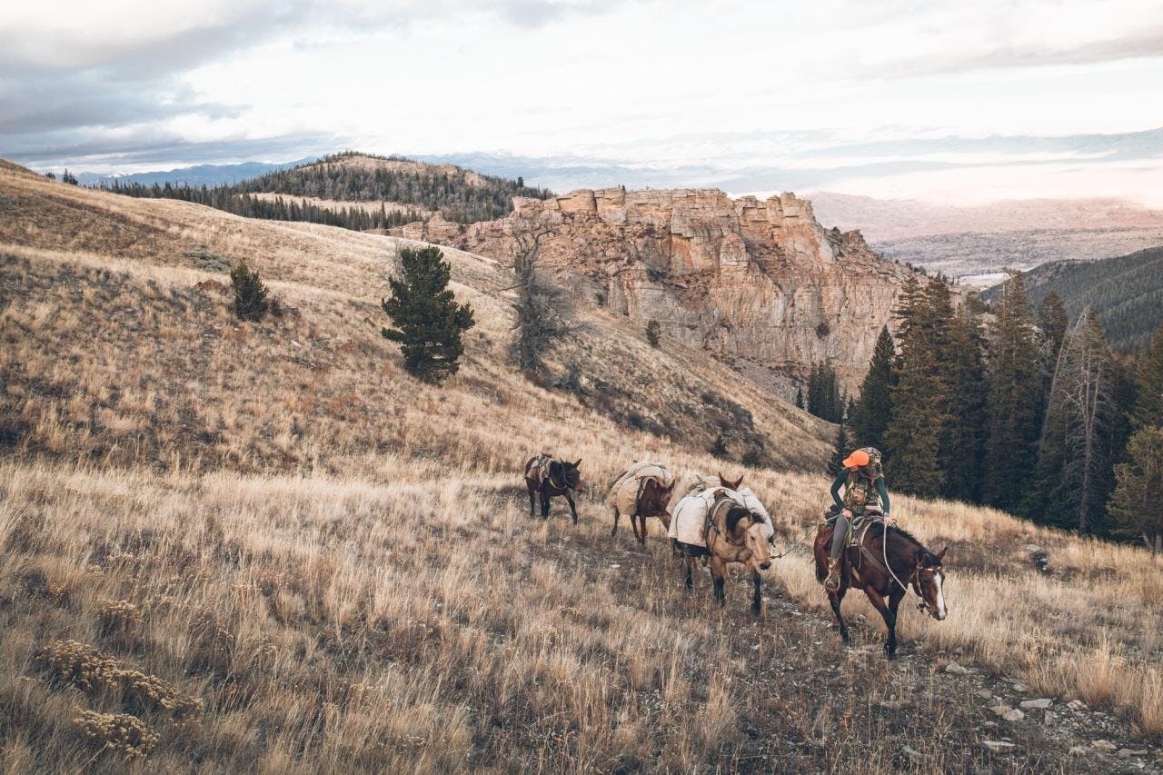 Jessie Allen: More Than Miss Wyoming
