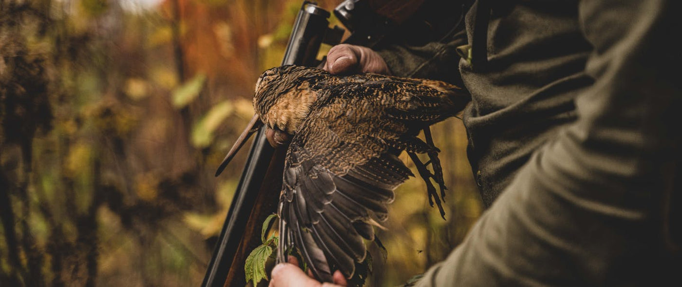 Ruffed Grouse Hunting Basics