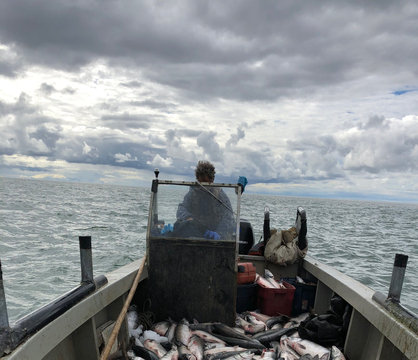 Dispatches from the North: Kotzebue Sound Salmon