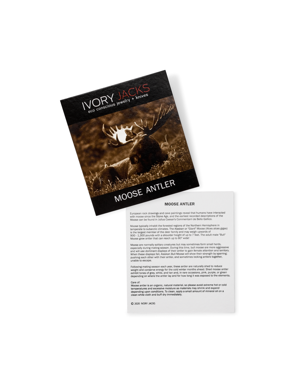 Ivory Jacks Moose Antler Bangle - Brown