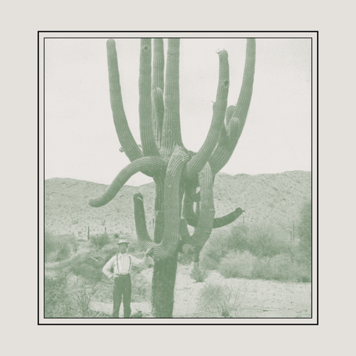 Pop Up Shop Cactus and Succulent Society